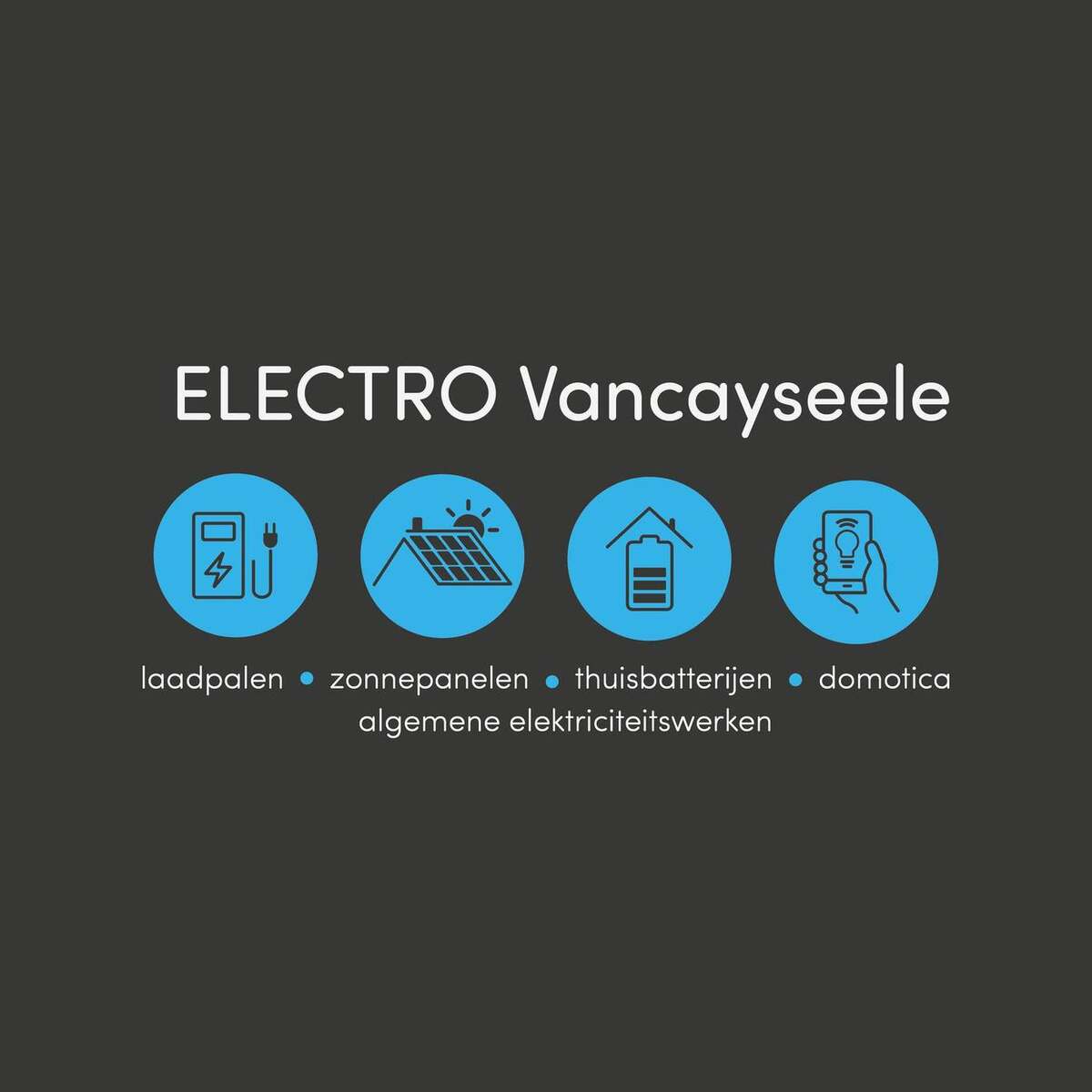 Conforme verdeelkast geplaatst door Electro Vancayseele